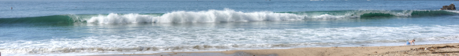 Old Newport Realty  | Newport Beach Real Estate | (949) 298-4888