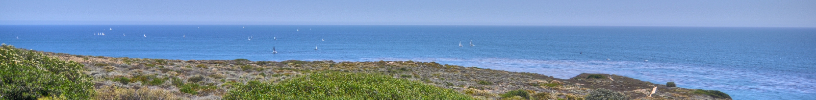 Old Newport Realty  | Newport Beach Real Estate | (949) 298-4888