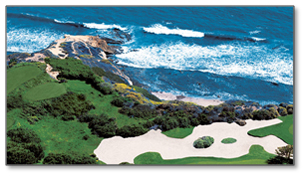 newport coast houses for sale