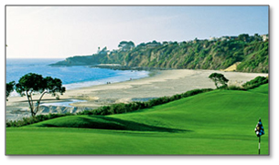 newport coast rentals