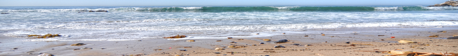 Old Newport Realty  | Newport Beach Real Estate | (949) 298-4888