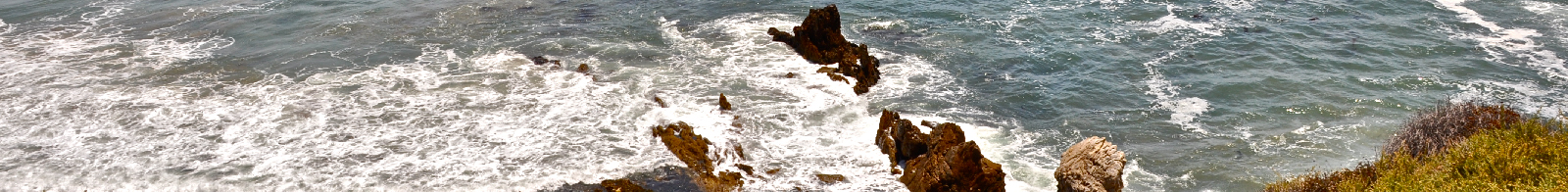 Old Newport Realty  | Newport Beach Real Estate | (949) 298-4888