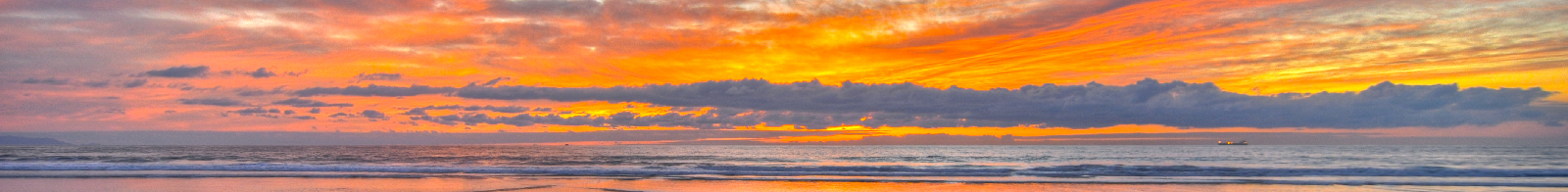 Old Newport Realty  | Newport Beach Real Estate | (949) 298-4888