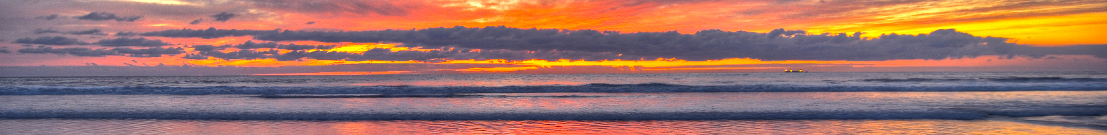 Old Newport Realty  | Newport Beach Real Estate | (949) 298-4888