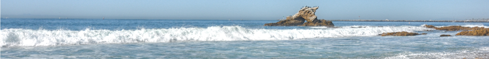 Old Newport Realty  | Newport Beach Real Estate | (949) 298-4888